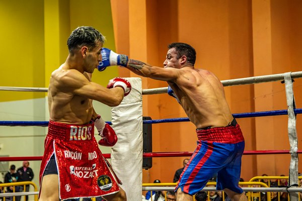 Comment le casque de vélo peut prévenir les commotions cérébrales